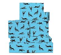 Papel de Regalo Divertido y Grosero - Para Aniversario, Despedida de Soltera - Incluye Etiquetas y Adhesivas - Central 23