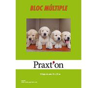 Papel Manualidades PRAXTON, Bloc x40 Hojas Surtidas