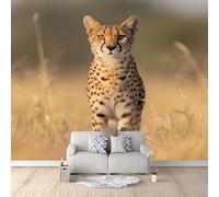 Papel Mural Leopardo, Papel Mural Paisaje De Vida Silvestre 300X210cm Arte Decorativo De Pared Refresca Tu Hogar Al Instante Habitación Infantil Montaje Rápido Apto