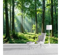 Papel Pintado 350x250cm Fotográfico Dosel Denso Papel de Pared XXL Bosque Tranquilo Póster Gigante de Mural Decoración De Pared para Sala Cuarto Oficina, Verde Esmeralda
