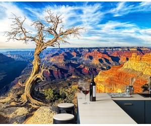 Papel Pintado 3D Cañón Paredes Rocosas Árboles Muertos 400x280cm, Papel Tapiz Paisajes Salvajes Del Oeste Grande Murales Fotográfico Moderno Decoración De Paredes Para Salón, Naranja Terracota