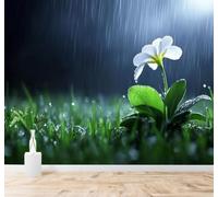 Papel Pintado 3D Fresco Gotas De Lluvia Verde Césped Flores Blancas | Cuadros Decorativos de Seda Alta Gama Ideales Para Todas las Paredes del Comedor Salón la Sala Estar y Dormitorio-300cm×210cm