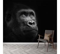 Papel pintado animal gorila retrato, mural de diseño de fotografía de naturaleza para dormitorio y oficina, papel pintado panorámico fácil de colocar, decoración de pared extraíble 500 x 280 cm (largo