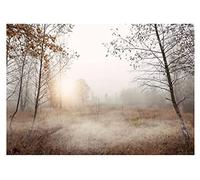Papel Pintado Arboles Niebla Bosque Paisaje Naturaleza Pradera - Incluye Pegamento - Fotomurales Pared Tejido No Tejido Decorativos Murales Fotográfico XXL Moderno Decoración de Paredes (368x254 cm)