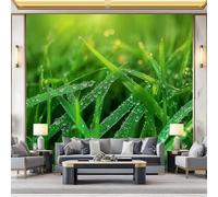 Papel Pintado Autoadhesivo Vinilo Adhesivo Muebles Paisaje Natural Gotas De Rocío Hojas De Hierba para Decoración de Paredes en Baño, Sala de Estar, Dormitorio, y Muebles de Cocina 450 x 280 cm