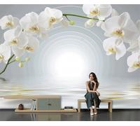 Papel Pintado Blanco grisáceo - Papel Pintado Panorámico 250x175cm, Estilo zen Arco de orquídeas blancas Mural Decoración Del Hogar Para Sala dormitorio comedor oficina