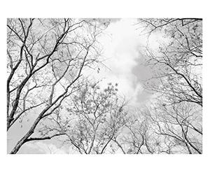 Papel Pintado Bosque Árboles blanco y negro 3D Salón Dormitorio 312x219 cm - Incluye Pegamento - Fotomurales Pared Tejido No Tejido Decorativos Murales Fotográfico XXL Moderno Decoración de Paredes