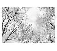 Papel Pintado Bosque Árboles blanco y negro 3D Salón Dormitorio 368x254 cm - Incluye Pegamento - Fotomurales Pared Tejido No Tejido Decorativos Murales Fotográfico XXL Moderno Decoración de Paredes