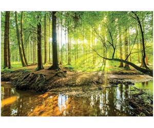 Papel Pintado Bosque Árboles Verde 3D Naturaleza Salón Dormitorio 208x146 cm - Incluye Pegamento - Fotomurales Pared Tejido No Tejido Decorativos Murales Fotográfico XXL Moderno Decoración de Paredes