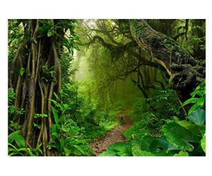 Papel Pintado Bosque Camino forestal Árboles Selva Plantas - Incluye Pegamento - Fotomurales Pared Tejido No Tejido Decorativos Murales Fotográfico XXL Moderno Decoración de Paredes (312x219 cm)