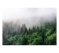 Papel Pintado Bosque Niebla Árboles Salón Dormitorio 368x254 cm - Incluye Pegamento - Fotomurales Pared Tejido No Tejido Decorativos Murales Fotográfico XXL Moderno Decoración de Paredes