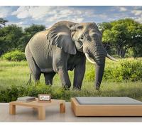 Papel pintado de elefante, mural grande de sabana africana, papel tapiz de animales para dormitorio, mural de pared de elefante, 150 x 105 cm (no se pela y pega)