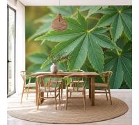 Papel Pintado de Estilo De Fotografía Natural 400x280cm Papel de Pared de Fondo Grande Hojas De Ginkgo Murales Papel Tapiz Decoración De Pared para Salón Dormitorio Pasillo Comedor, Amarillo Verdoso