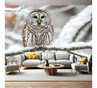 Papel Pintado Fotográfico Búho de bosque barrado nevado 400 x 280 cm White Fotomural Moderno para Decoración de Pared en Salón u Oficina