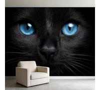 Papel pintado fotográfico con cara de gato negro, ojos azules, 500 x 280 cm, mural de pared, póster no tejido, póster fotográfico para estudio, dormitorio, amante de los gatos, decoración de pared