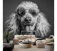 Papel pintado fotográfico con diseño de caniche con gafas de sol, 250 x 175 cm, diseño moderno, fotografía de animales, salón, dormitorio, oficina, pasillo