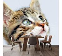 Papel pintado fotográfico con retrato de animales, gris claro, 3D, para dormitorio, sala de estar, sofá o fondo de TV - Papel pintado no tejido, decoración de pared, 150 cm x 105 cm - Adhesivos - Cuad