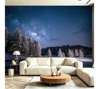Papel pintado fotográfico de fieltro 300 x 210 cm - Salón noche de invierno bosque cielo estrellado valla XXL papel pintado no tejido, diseño bosque natural, decoración de pared para dormitorio, salón