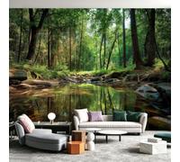 Papel pintado fotográfico de fotografía de naturaleza, 250 x 175 cm, diseño de bosque y arroyo del bosque, no tejido, para decoración de pared, arte de pared, diseño moderno, impresión artística para