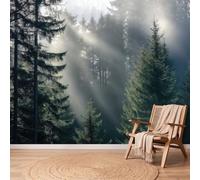 Papel pintado fotográfico rústico con diseño de bosques, selva, luz solar, niebla, papel pintado, XL, efecto 3D, fieltro, moderno, para salón, dormitorio, habitación infantil, decoración de pared, 200