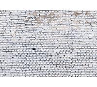 Papel Pintado Fotomural 368x254cm Blanco Ladrillo Efecto Pared Grande Talla Deco