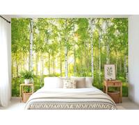 Komar 1 - XXL4 - 519 368 x 248 cm "National Geographic Domingo Spring Árbol de Abedul Bosque Mural - (4 unidades), color verde