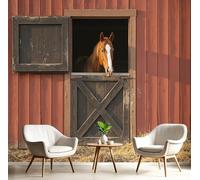 Papel Pintado Marrón - Papel Pintado Panorámico 200x140cm, Estilo de fotografía de animales El caballo asomó la cabeza fuera del establo. Foto Mural Decoración Del Hogar Para Sala dormitorio comedor