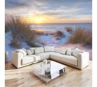 Papel Pintado Multicolor 350 X 256 Cm Invierno Playa Art Papel Tapiz Fotográfico Para Sala Cuarto Oficina Salón Tv Fondo Pared Decora, Océano Dunas Arena Hierba Verde No Tejido Decorativos Murales