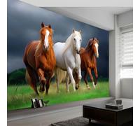 Papel Pintado Multicolor 400 X 280 Cm Hiperrealista Animales Art Papel Tapiz Fotográfico Para Sala Cuarto Oficina Salón Tv Fondo Pared Decora, Oscuridad Pradera Caballo No Tejido Decorativos Murales