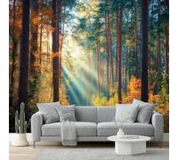 Papel pintado Naturaleza Bosque Sol Sanación Papel pintado tejido no tejido 200 x 140 cm decoración Pared decorativos Tv Fondo Pared Dormitorio Murales Papel Tapiz Moderno Colores cálidos verde