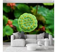 Papel pintado no tejido 450 x 280 cm Fotografía De Flores Y Cápsulas De Loto Papel Pintado Panorámico Cuadros De Pared Tapiz Foto Decoración De Pared Sala De Los Niños Y Restaurante, Verde