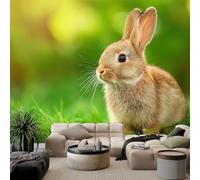 Papel pintado panorámico 3D animal estampado conejo césped, mural de pared fotografía artística para salón dormitorio habitación infantil - Decoración mural fotográfica 400An x 280Al cm