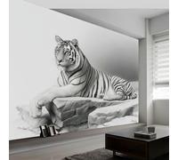 Papel Pintado Panorámico 3D Animales Blanco Negro Tigre Rayas 350An x 256Al cm, Mural de Pared Animales Salvajes para Salón Dormitorio Habitación Infantil - Decoración Mural Fotográfica