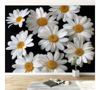 Papel pintado panorámico 3D fotografía artística plantas margaritas, mural de pared negro para salón dormitorio habitación infantil - Decoración mural fotográfica 350An x 256Al cm