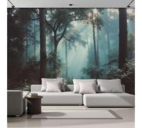 Papel Pintado Panorámico 400An×280Al cm Bosque Luz Mañana Tejido No Tejido Papel Tapiz Fotomurales,Decoración De Pared Misterio Luz Y Sombra Bosque Murales Diseno Fotográfico Dormitorio Salón Azul