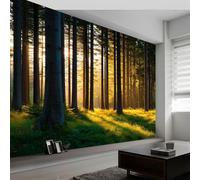 Papel pintado panorámico atardecer bosque árboles luz solar, foto mural moderna 450An x 280Al cm - Papel pintado decoración hogar paisaje natural para salón habitación habitación infantil oficina