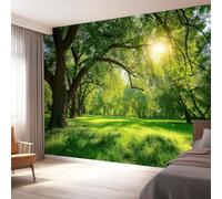 Papel pintado panorámico bosque árboles luz solar 400 x 280 cm - revestimiento de pared decorativo para dormitorio, sala de estar, dormitorio infantil, cocina, oficina, diseño de paisajes de pared