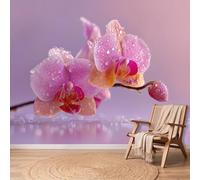 Papel pintado panorámico botánico de primer plano rosa orquídeas botones de flores gotas de agua 3D de pared, foto gigante para sala de estar, dormitorio infantil, decoración de pared, XXL sin tejer