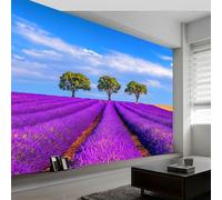 Papel pintado panorámico cielo azul lavanda campo de flores, papel pintado no tejido realismo para dormitorio salón comedor - Decoración mural moderna fondo fotográfico artístico 350An x 256Al cm