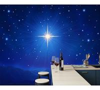 Papel Pintado Panorámico Estrella Del Norte Brillante Azul Marino, Fotomural Moderna 3D 350X256Cm（An X Al）, Papel Pintado Decoración Hogar Paisaje Cielo Nocturno Para Salón Dormitorio Oficina