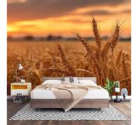 Papel Pintado Panorámico Fotomurales Naturaleza Campos de Trigo Dorados Al Atardecer 300x210 cm, Murales de Pared Decoración Póster in Tejido No Tejido Oro Personalizado 3D Para Salón Dormitorio