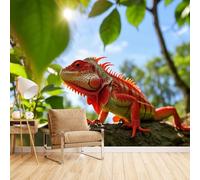 Papel Pintado Panorámico Lagarto Rojo, Mural Papel Pintado Pared Animales 300X256cm Arte Decorativo De Pared Sin Olor Habitación Infantil Montaje Rápido Material Seguro Y Ecológico
