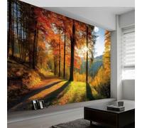 Papel pintado panorámico paisaje de otoño, Foto mural papel pintado bosque luz solar hojas caídas - Póster mural y cuadros para salón dormitorio decoración interior del hogar 400An x 280Al cm