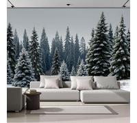 Papel Pintado Panorámico Realismo Natural Bosque Cubierto Nieve 300An×210Al cm Fotomurales No Tejido, Murales Decoración Póster Pared Personalizado XL 3D Para Salón Dormitorio, Verde Oscuro