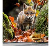 Papel Pintado Pared 200 x 140 cm - Animales Salvajes Y Adorables Zorros Papel pintado Verde Mural de Arte Decoración para Comedores Salones Habitaciones Sala Cuarto Oficina Salón