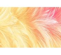 Papel Pintado Pared 3D Papel Tapiz Plumas Rosas Y Amarillas Fotomurales 3D Moderno Dormitorio Murales -KX34054, 430x300cm