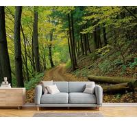 Papel Pintado Pared 3D Verde Bosque De Árboles Al Borde Carretera Fotomurales Tv Fondo Dormitorio Murales Paisaje Realista Para Sala De Estar Pósteres Motivos De Restaurante De Oficina,250X170Cm