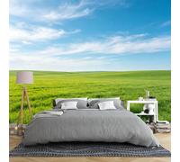 Papel Pintado Pared Dormitorio Mural De Pared Con Paisaje De Pradera Verde De 100 × 70 Cm 3D Panorámico Cielo Azul Pradera Paisaje Natural Mural De Pared No Tejido De Gran Tamaño Con Foto Panorá