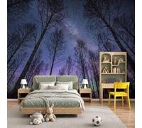 Papel Pintado Pared Panorámico 200 x 140cm, Países Nórdicos Aurora Boreal Vía Láctea Bosques De Abedules Cielo Nocturno Papel Pintado Fotográfico - Decoración de pared Para Sofá TV Oficina y Hogar