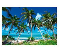 Papel Pintado Playa Palmeras Paisaje Naturaleza Salón Dormitorio - Incluye Pegamento - Fotomurales Pared Tejido No Tejido Decorativos Murales Fotográfico Moderno Decoración de Paredes (416x254 cm)